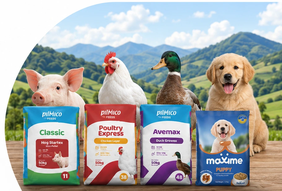 Pilmico Classic, Poultry Express, Avemax and Maxime animal feed products with a pig, chicken, duck and puppy