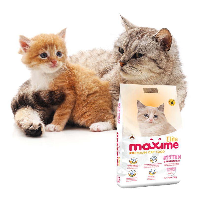 Maxime Elite cat food with a kitten and adult cat