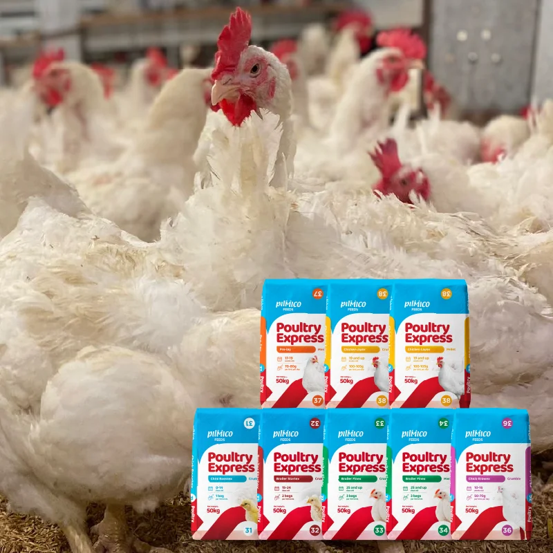 Pilmico Poultry Express feed range with broiler chickens