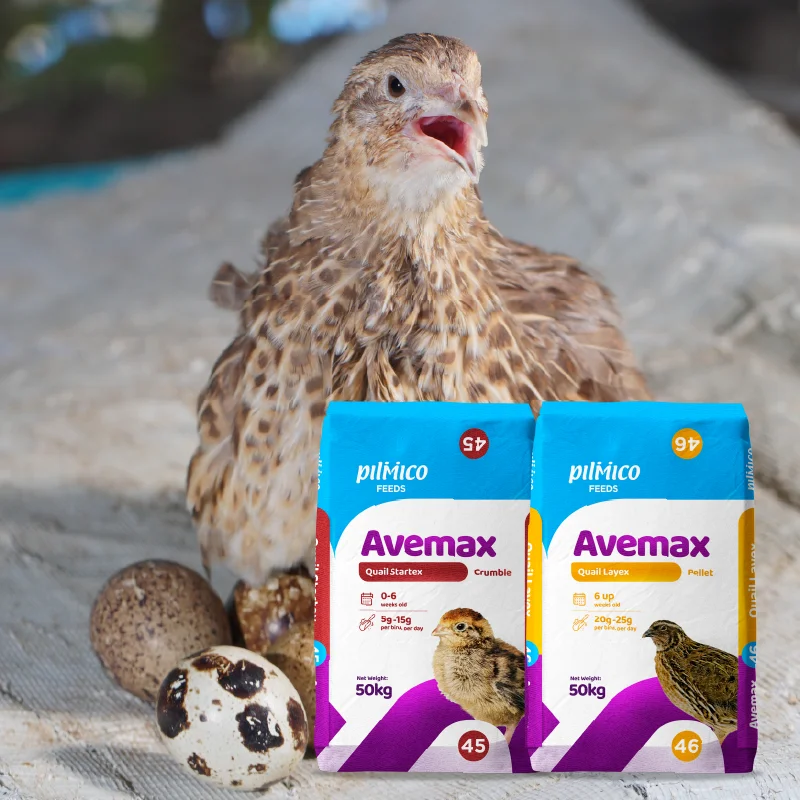 Pilmico Avemax Quail feed range with quail