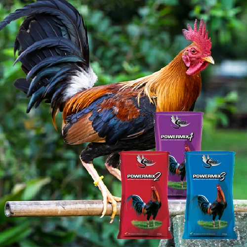 Salto Powermix gamefowl feed range