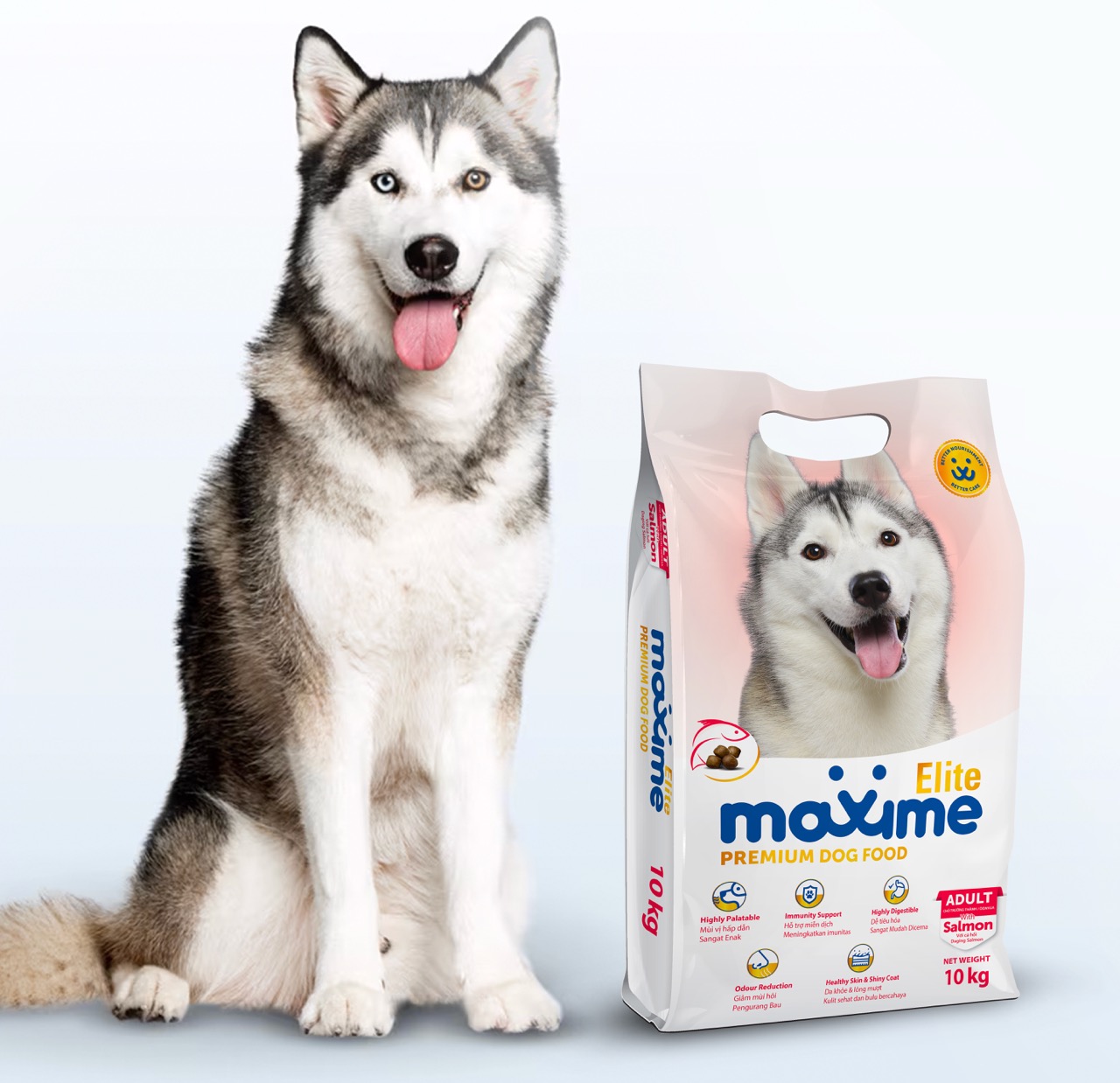Maxime Elite Adult Dog food with a dog