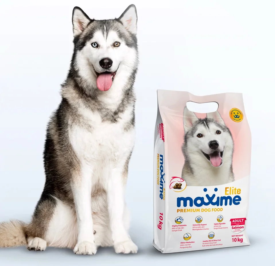 Maxime Elite Adult Dog food with a dog