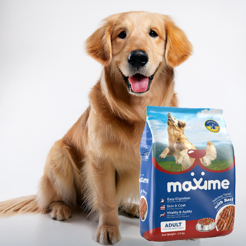 Maxime Adult dog food with a golden retriever
