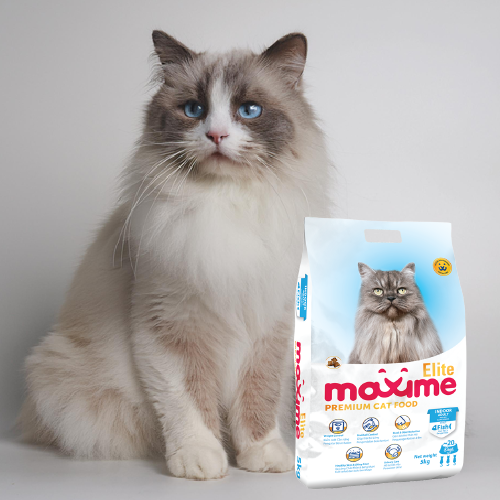 Maxime Elite Adult Cat food with a cat