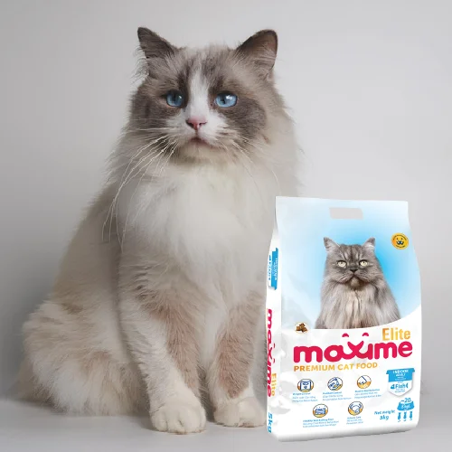 Maxime Elite Adult Cat food with a cat