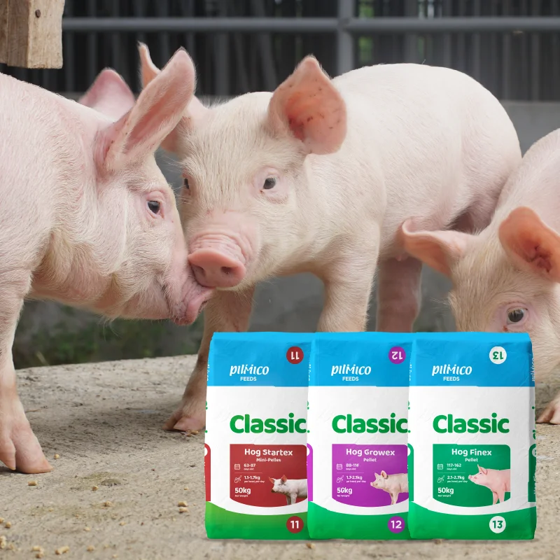 Pilmico Classic hog feed range with piglets