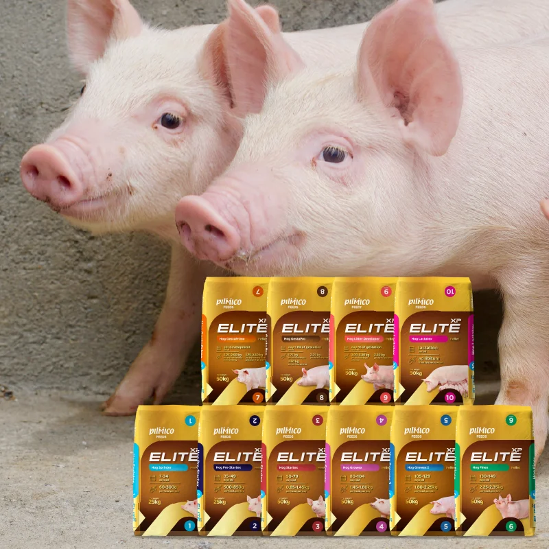 Pilmico Elite XP hog feed range with pigs