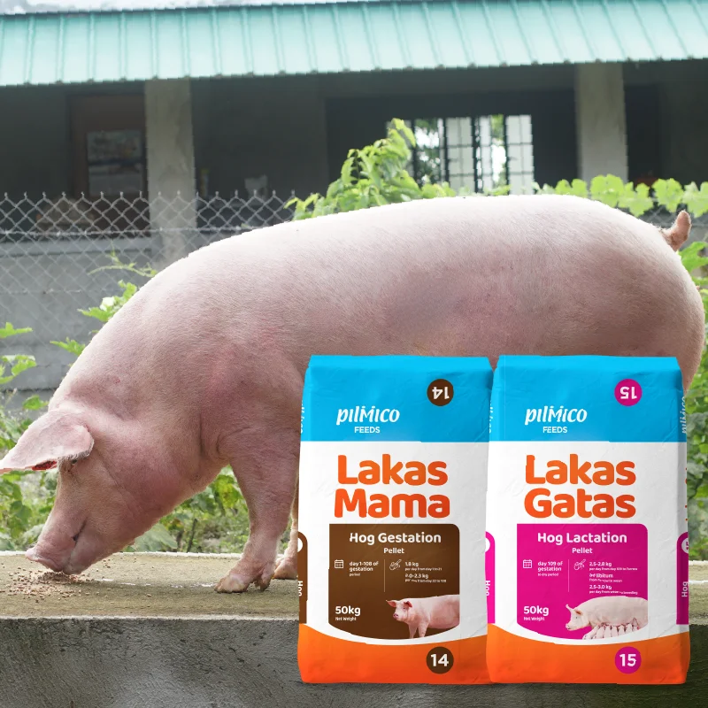 Pilmico Lakas Tandem breeder feed range with a sow